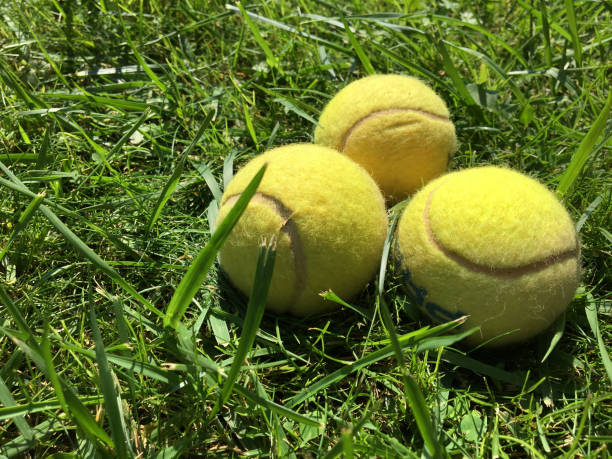 istock Tennis balls on grass 1044711548