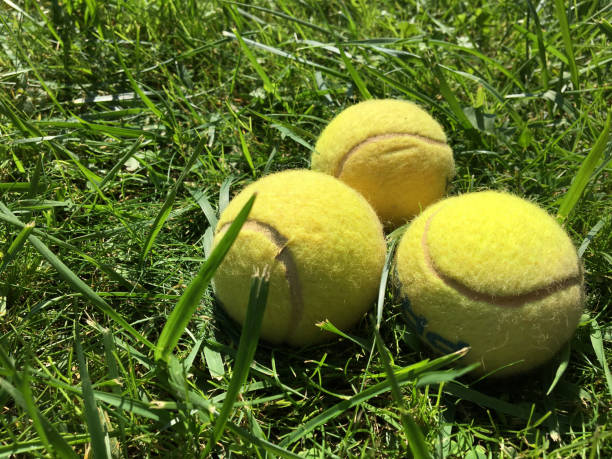 istock Tennis balls on grass 1044711576