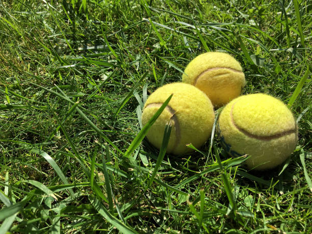 istock Tennis balls on grass 1044711612
