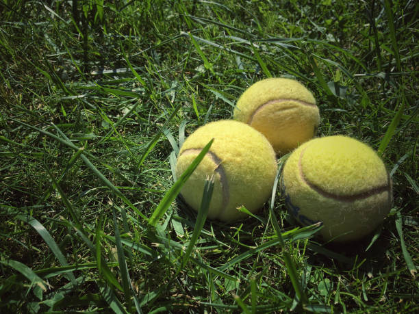 istock Tennis balls on grass 1044711628