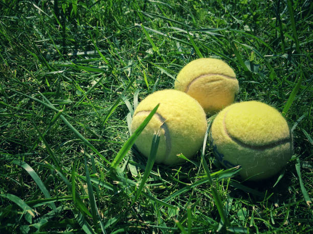istock Tennis balls on grass 1044711638