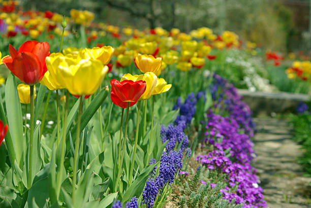 Colorful garden stock photo