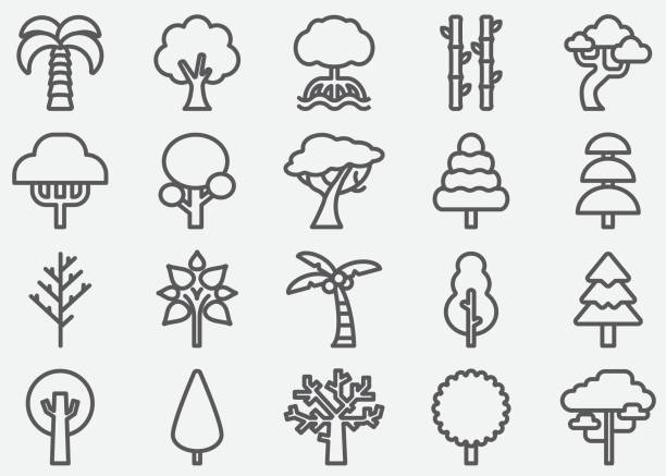 트리 모양 라인 아이콘 - tree environment oak tree symbol stock illustrations