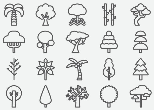 ilustrações de stock, clip art, desenhos animados e ícones de tree shape line icons - poplar tree illustrations