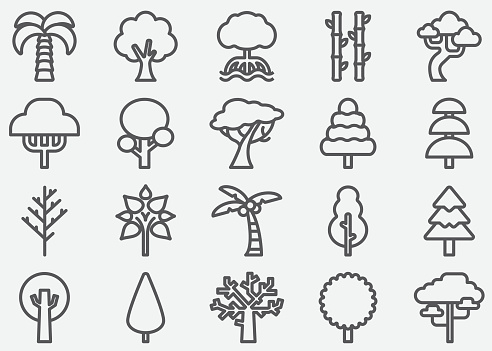 Tree Shape Line Icons