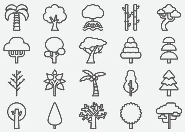 Vector illustration of Tree Shape Line Icons