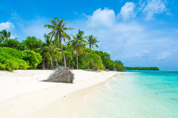istock Beautiful sandy beach in uninhabited island 1044719096