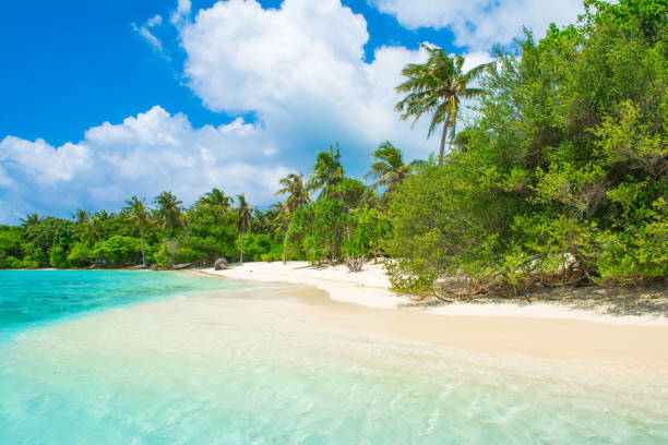 istock Beautiful sandy beach in uninhabited island 1044719118