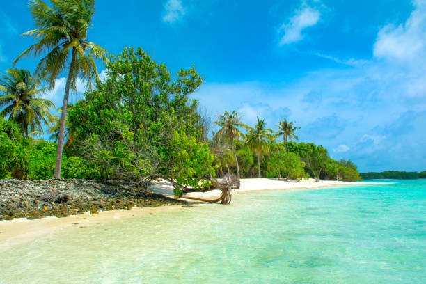 istock Beautiful sandy beach in uninhabited island 1044719124