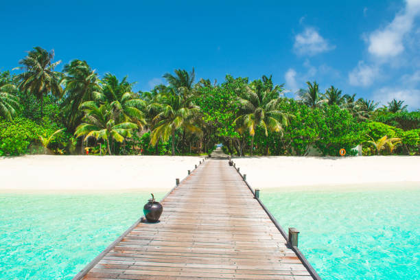 istock Overwater bridge in the Indian Ocean 1044719130