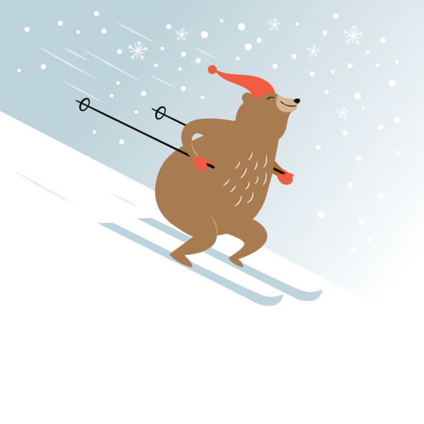 cute bear is skiing vector art illustration