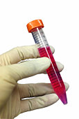 test-tube-in-hand-isoliert.jpg?b=1&s=170