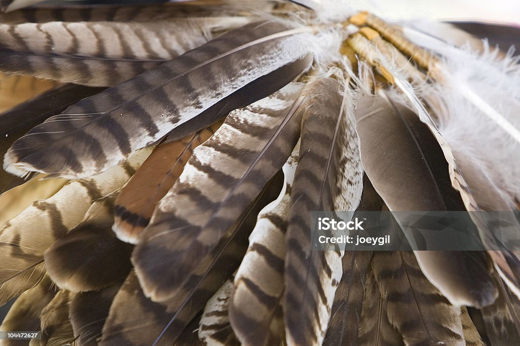 Abito testa - Foto stock royalty-free di Pow-wow