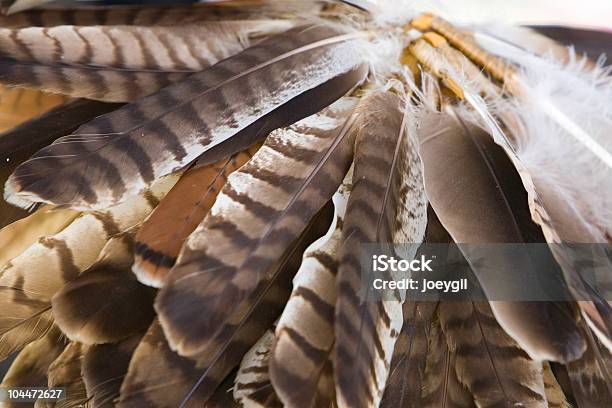 Vestido De Cabeça - Fotografias de stock e mais imagens de Pow-wow - Pow-wow, Adereço para a Cabeça, Cultura Tribal da América do Norte