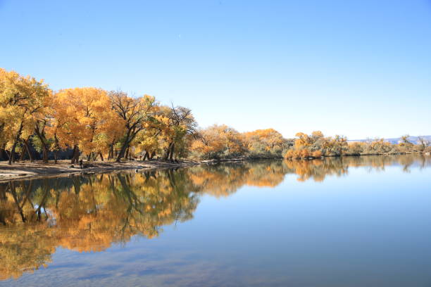 istock Scenic View Of Lake During Autumn 1044726316