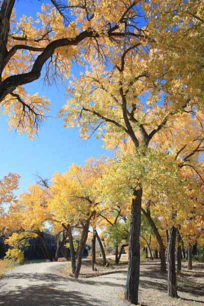istock Scenic View Of Lake During Autumn 1044726706