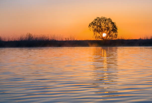 istock Trees in the background of the sunset. 1044726810
