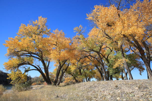 istock Scenic View Of Lake During Autumn 1044726918
