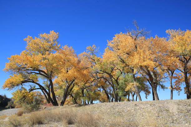 istock Scenic View Of Lake During Autumn 1044726940