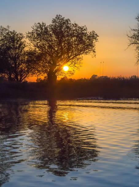 istock Trees in the background of the sunset. 1044731392