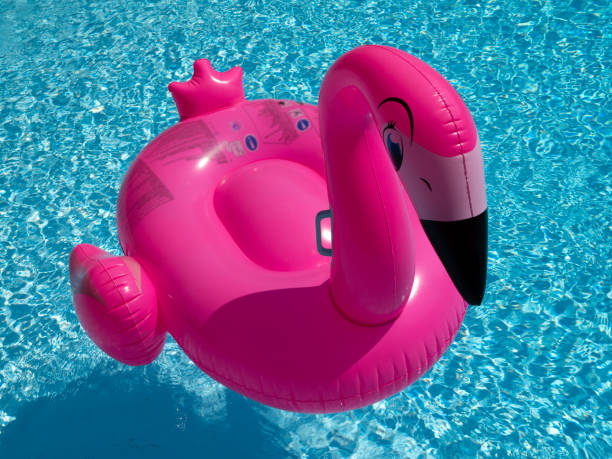 istock Pink Inflatable Flamingo in a swimming pool 1044737202
