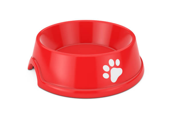 istock Empty Red Plastic Bowl for Dog, Cat or other Pets. 3d Rendering 1044741710