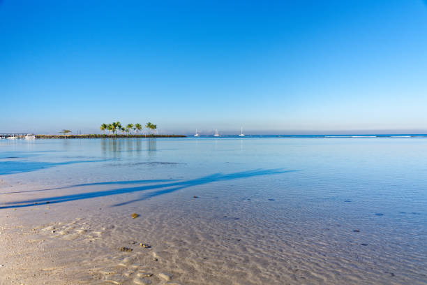 istock Clear reflective water with reeds in the background 1044742868