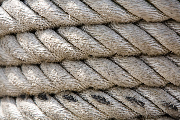 Rope Texture Free Photo Download