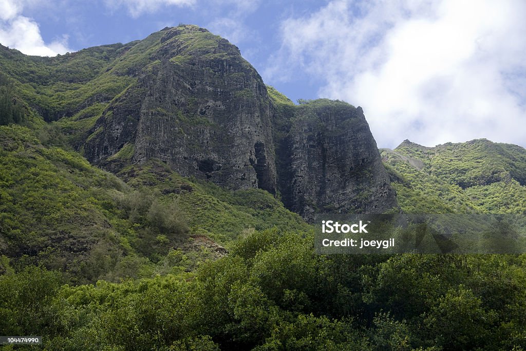 Hawaii Cliffs  Cliff Stock Photo