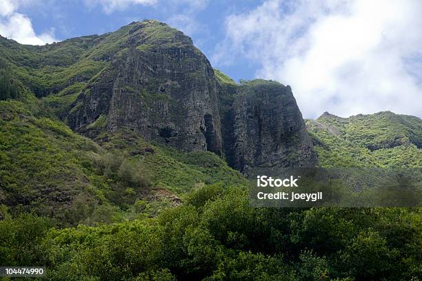 Hawaii Cliffs Stock Photo - Download Image Now - Cliff, Color Image, Forest