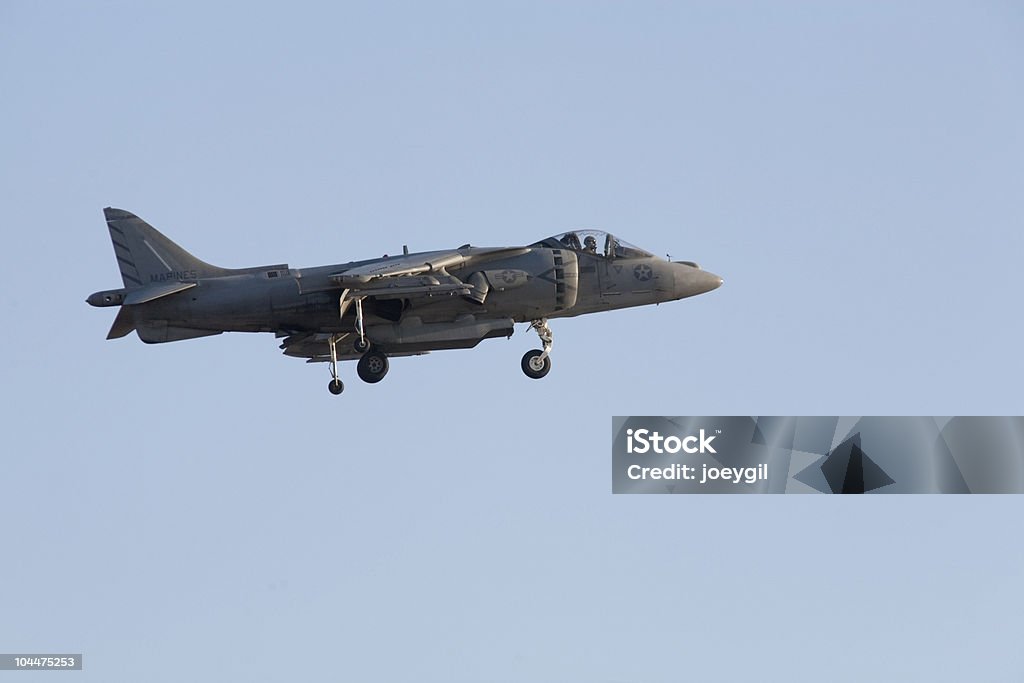 Salto Harrier hidromasaje - Foto de stock de Aire libre libre de derechos