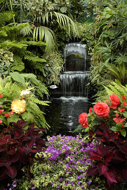 istock The Garden and Waterfall 104475777