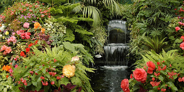 Beautiful garden with a waterfall