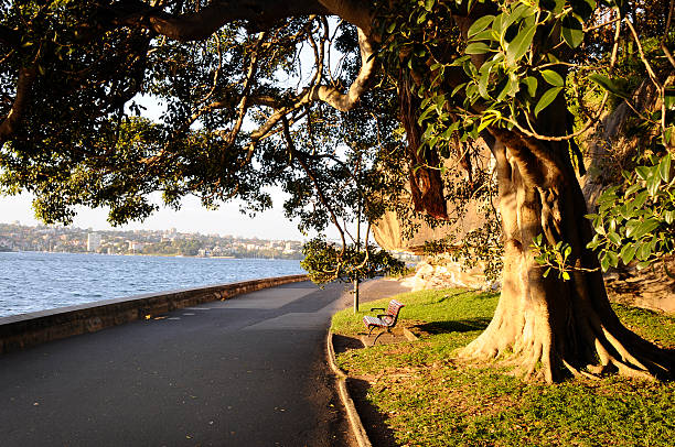 istock Sydney Botanic Garden, Australia 104476283