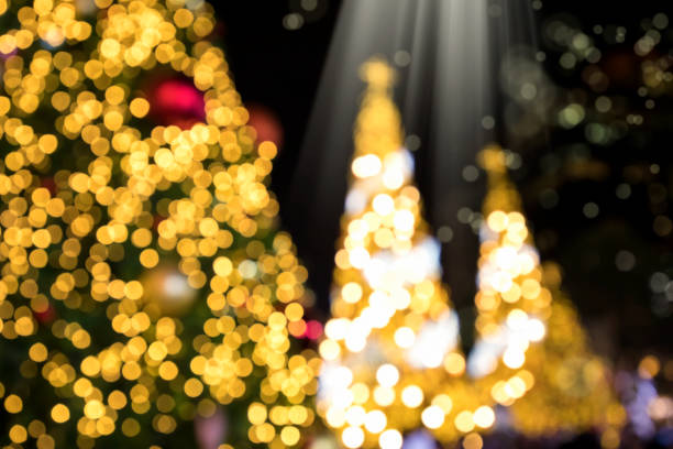 istock Abstract group of blurry outdoor Christmas trees at night 1044763928