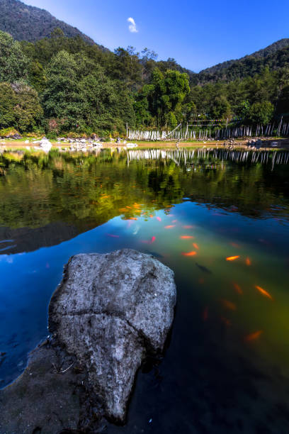 lagos de las montañas del himalaya - sikkim fotografías e imágenes de stock