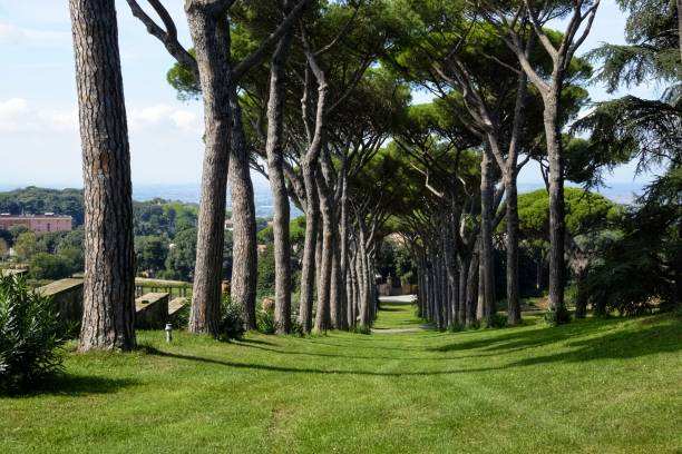 jardins de barberini de castel gandolfo - barberini - fotografias e filmes do acervo