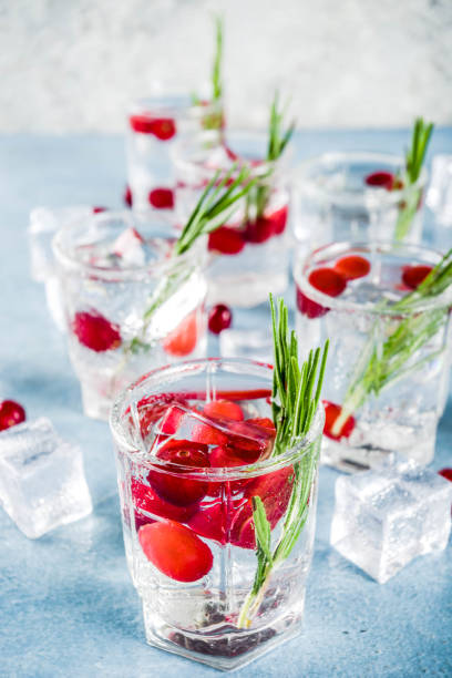 istock Winter cocktail with cranberry and rosemary 1044792502