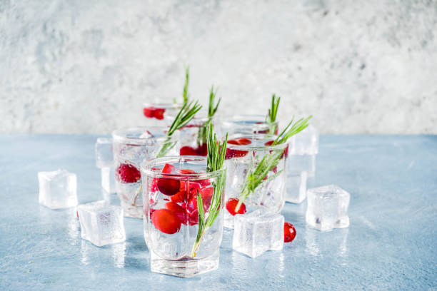 istock Winter cocktail with cranberry and rosemary 1044792504