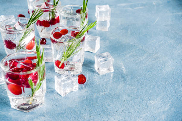 istock Winter cocktail with cranberry and rosemary 1044792576