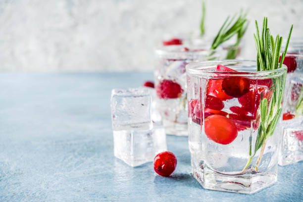 Winter cocktail with cranberry and rosemary