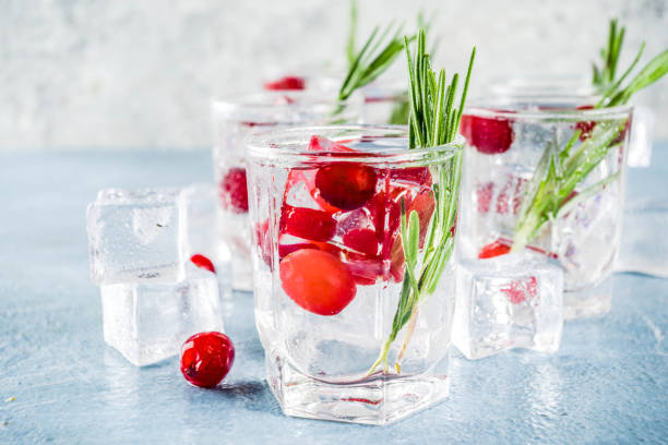 istock Winter cocktail with cranberry and rosemary 1044792912