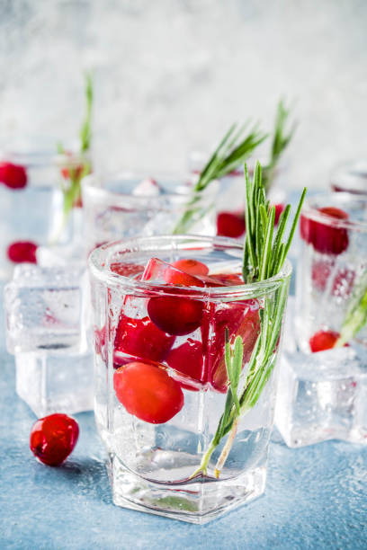 istock Winter cocktail with cranberry and rosemary 1044792916