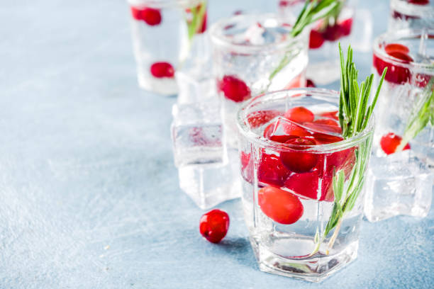 istock Winter cocktail with cranberry and rosemary 1044792918