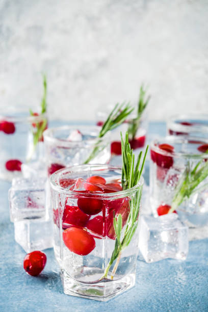 istock Winter cocktail with cranberry and rosemary 1044792960