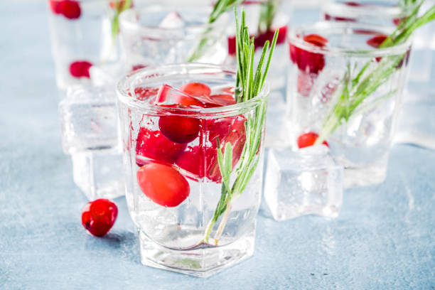 istock Winter cocktail with cranberry and rosemary 1044793096