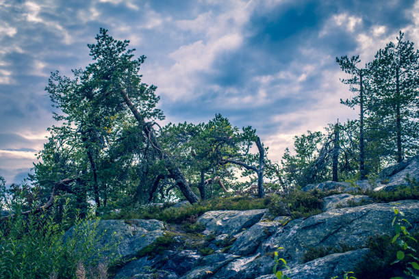 Landscape from Sotkamo, Finland.