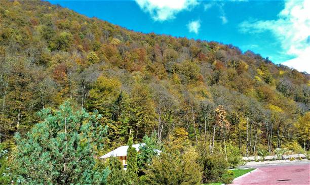 istock Autumn in the Caucasus 1044804882