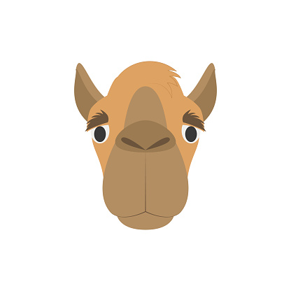 Camel face in cartoon style for children. Animal Faces Vector illustration Series