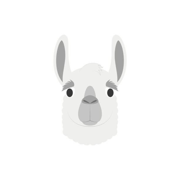 istock Llama face in cartoon style for children. Animal Faces Vector illustration Series 1044806198
